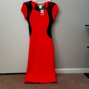Small dress ( Body Cental) Pink/ Blk